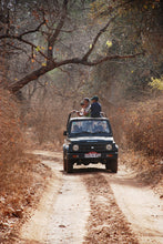 Load image into Gallery viewer, Royal Rajasthan (Jaipur and Ranthambore) and the Urban wonders of Delhi: May 5 - May 13:2026