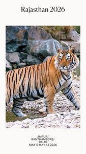 Royal Rajasthan (Jaipur and Ranthambore) and the Urban wonders of Delhi: May 5 - May 13:2026
