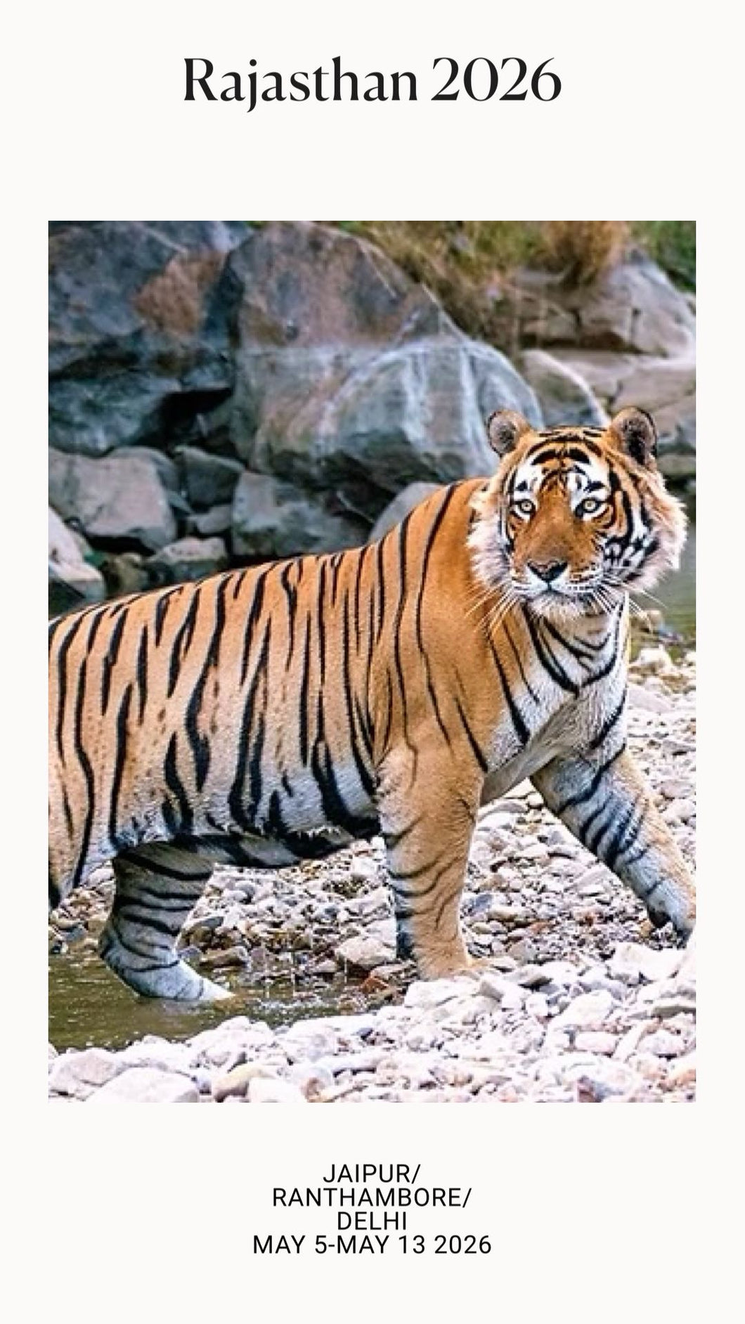 Royal Rajasthan (Jaipur and Ranthambore) and the Urban wonders of Delhi: May 5 - May 13:2026