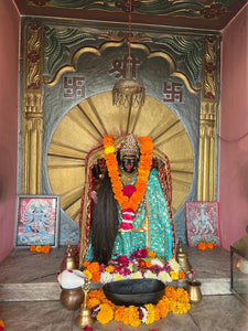 The Divine Northern India Tour: A Spiritual Pilgrimage - September 22-October 2:2023