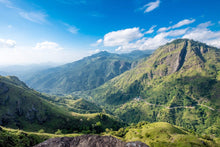 Load image into Gallery viewer, Sri Lanka Tour with Rachel Hunter - August 10-22:2026
